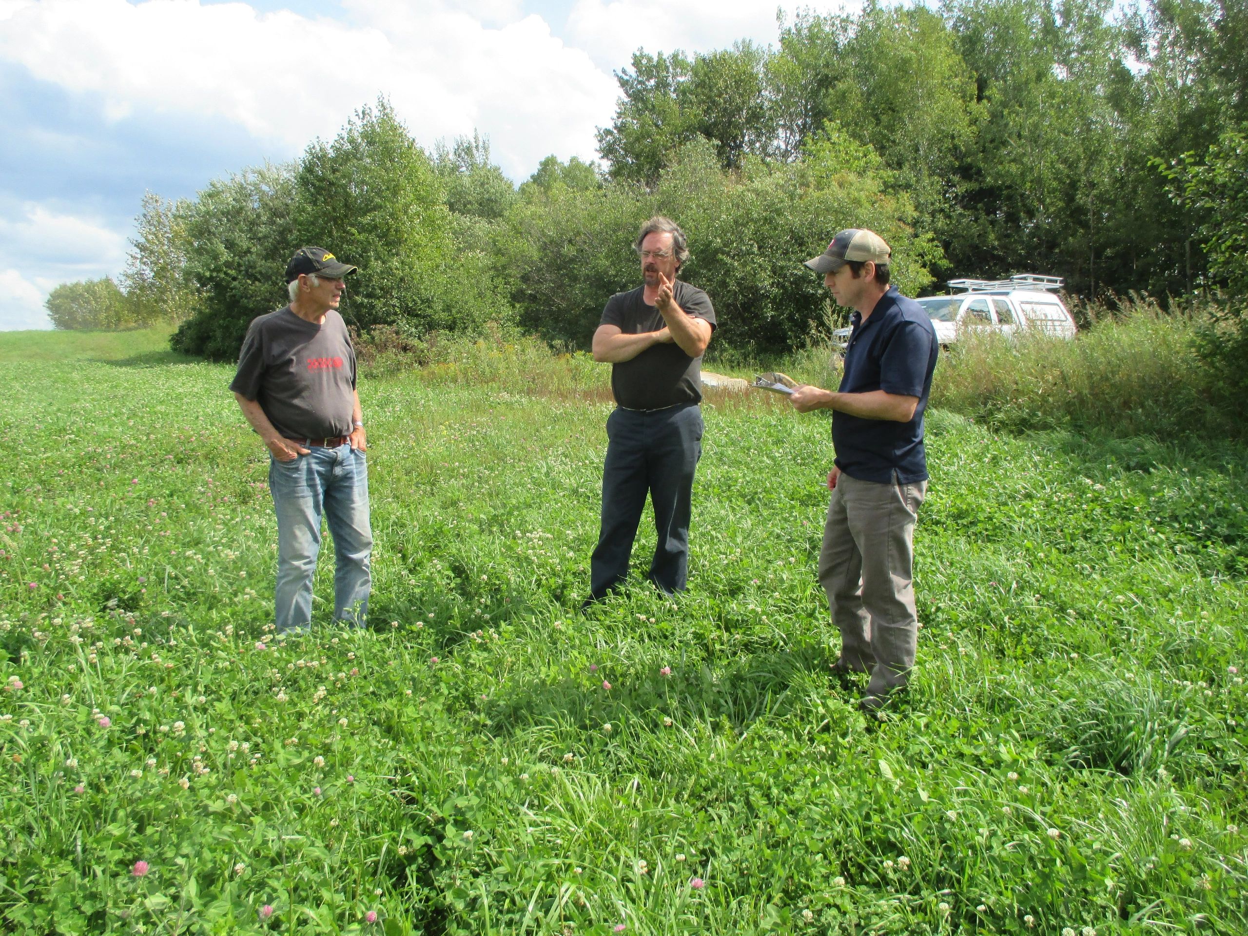 Agronomist consulting in field